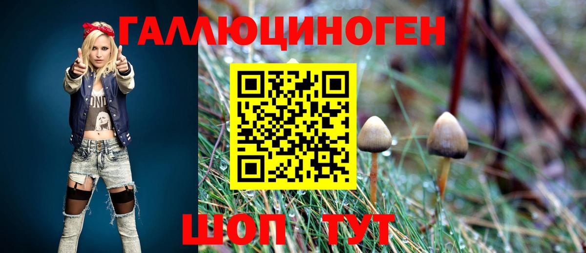 Нягань  Псилоцибиновые грибы мицелий  Галлюциногенные грибы ЛСД  Вход с VPN 
